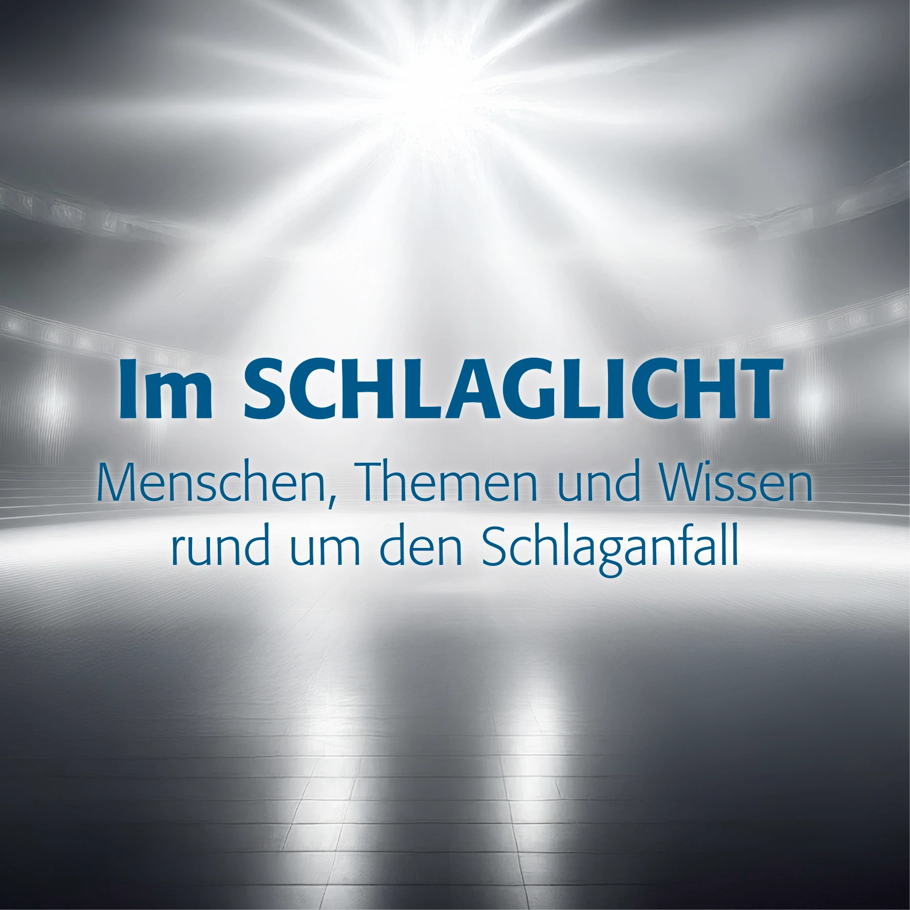 Schlaglicht - digitale Reihe