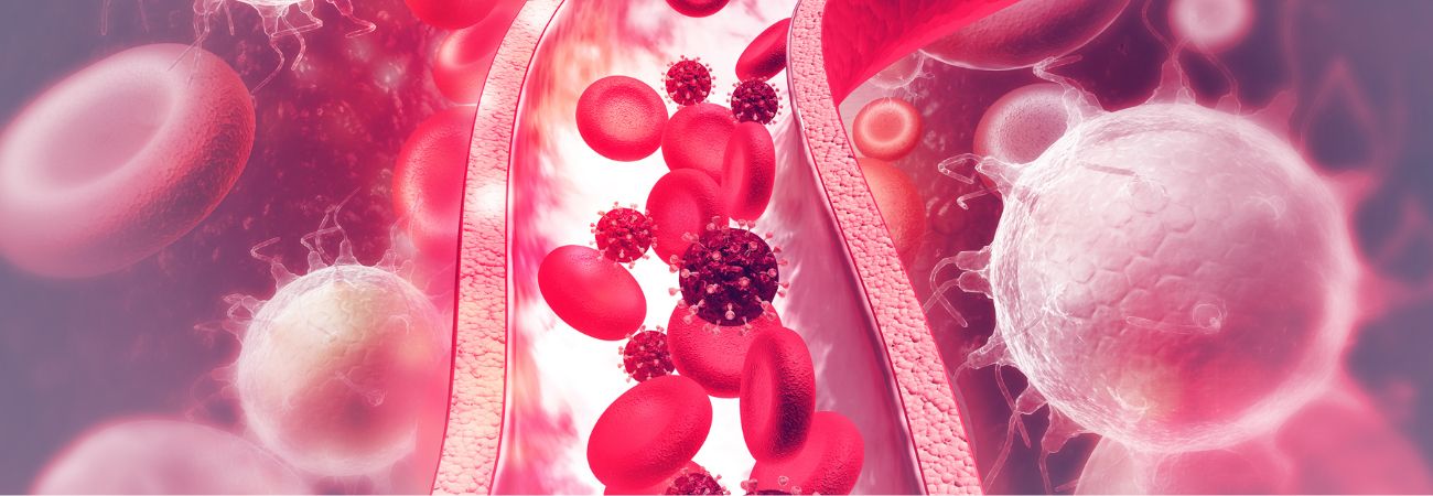 Digitaler Schlaganfall-Zwilling