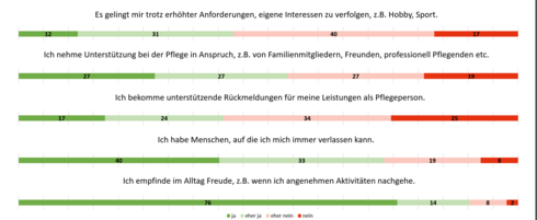 Resilienzfaktoren Energiequellen