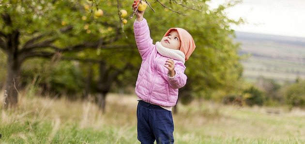 junge mit apfel