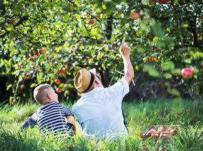 (© Fotolia) (© Fotolia)