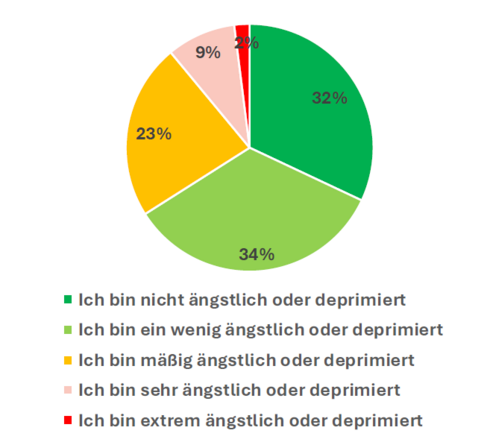 Lebensqualität pflegender Angehöriger: Angst und Niedergeschlagenheit