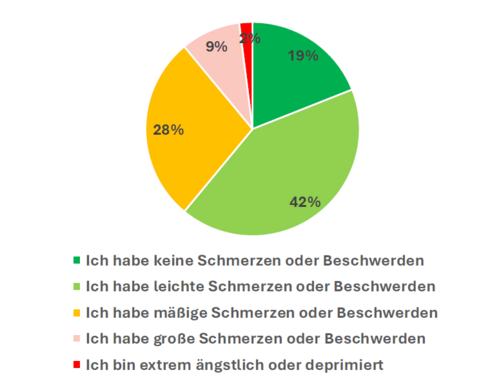 Lebensqualität pflegender Angehöriger: Schmerzen