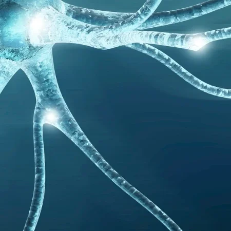 Neuronale Netze