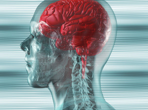 (© <p>Fotolia</p>) (© <p>Fotolia</p>)