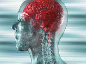 (© <p>Fotolia</p>)
