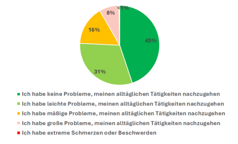 Lebensqualität pflegender Angehöriger: Alltägliche Tätigkeiten