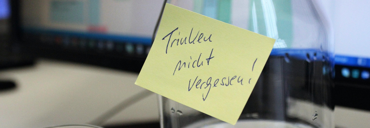 Schlaganfall Vorsorge Ausreichend Trinken