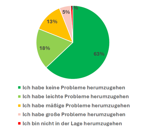 Lebensqualität pflegender Angehöriger: Mobilität