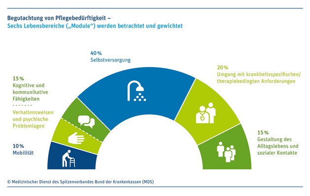 Das Ringdiagramm zeigt die unterschiedliche Gewichtung der Module